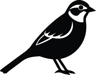 White Throated Sparrow silhouette vector art illustration