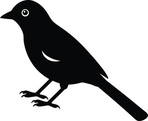 Yellow Vented Bulbul silhouette vector art illustration