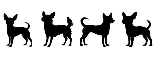 Chihuahua in different poses. Dog breed silhouette.