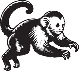 Capuchin Monkey Simple Black and White Vector Illustration
