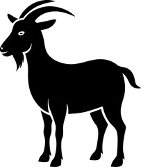 goat isolated on white background