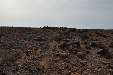 volcanic arid landscapes with trils, cliffs, and scattedred vegetation.