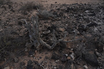 volcanic arid landscapes with trils, cliffs, and scattedred vegetation.