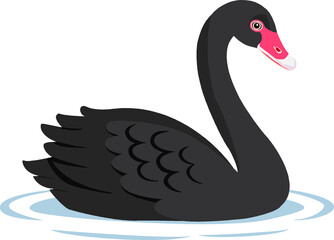 Black Swan (Cygnus atratus) - Original Clean-Line Clipart with Transparent Background