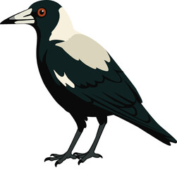 Australian Magpie (Gymnorhina tibicen) - Original Clean-Line Clipart with Transparent Background