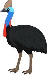 Southern Cassowary (Casuarius casuarius) - Original Clean-Line Clipart with Transparent Background
