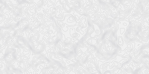 Obraz premium modern wavey contour out map line topography white and grey curved line white background. 