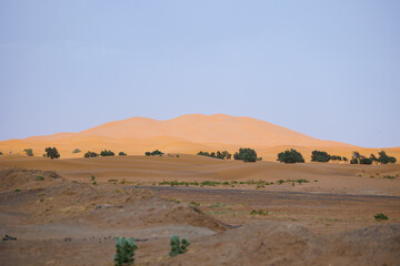 Erg Chebbi sand dunes viewed from Merzouga desert town  located in Morocco on the western edge of the Sahara Desert