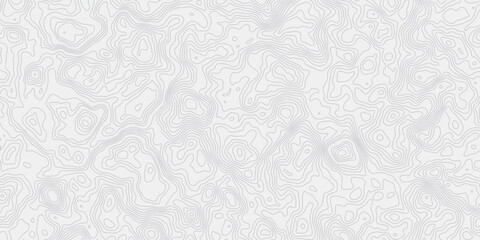 modern wavey contour out map line topography white and grey curved line white background. 
