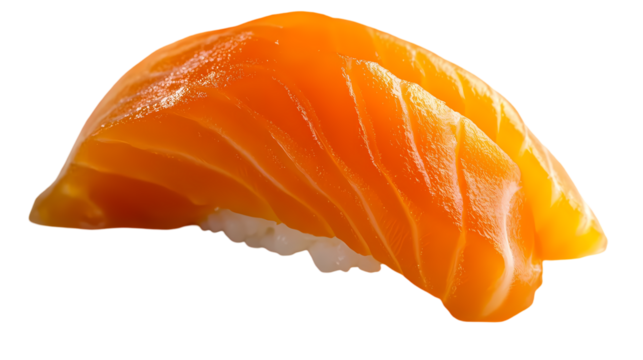 A Single Piece of Salmon Nigiri Glistening Orange Perfection isolated on transparent background