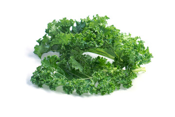 Organic fresh Kale Green cabbage (Brassica oleracea var. sabellica) - Kale green leaf isolated before white background. Kale has the highest vitamin K content of any vegetable.