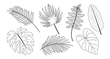 Fototapeta premium Set of various tropical and botanical leaves. Hand drawn, black outline, contour style. Vector illustration isolated on a white background. Botanical collection, eco-friendly design.