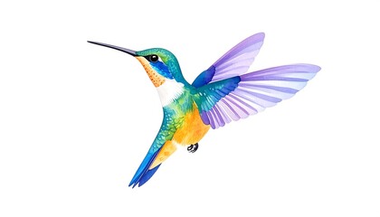 Obraz premium Vibrant Hummingbird in Flight.