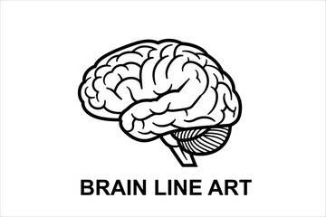 human brain vector illustration