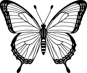  Elegant Butterfly Outline with Detailed Wing Patterns: A Beautiful Black and White Illustration for Nature-Inspired Designs and Coloring.