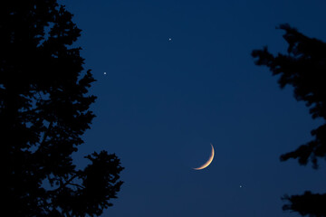 Crescent young Moon with stars, planets and rural countryside tree silhouettes.
