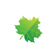 This elegant black and white floral design is ideal for decorative borders, logos, or vintage-inspired graphic designs, featuring intricate detailing and curved leaves