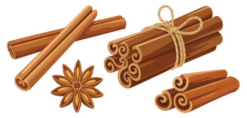 Cinnamon sticks bundle star anise spice illustration