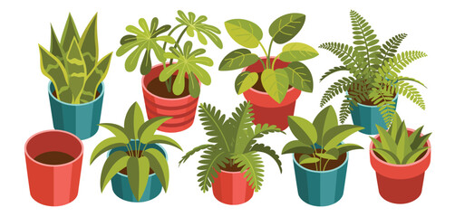 Collection of houseplants in colorful pots