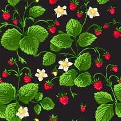 Pattern vector Strawberry berries color line. Summer flowers and berries. Harvest, farm products.