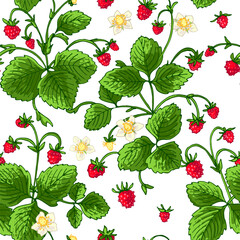 Pattern vector Strawberry berries color line. Summer flowers and berries. Harvest, farm products.