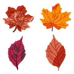 set of autumn leaves Autumn Leaves Vector Set | Fall Leaf Clipart Hand Drawn Fall Leaves AI Vector Illustration Rustic Autumn Leaves Fall Leaf Clipart Vector Clipart Bundle Minimal Fall Leaves 
