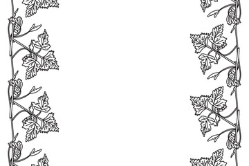 Line art botanical floral vertical border with grapevine isolated on white background. Hand drawn outline vine plant with long stem and leaves vector illustration. Graphic design element for Birthday