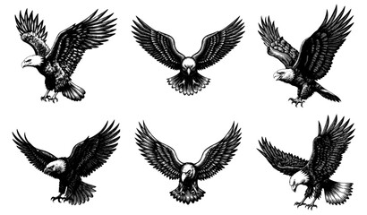 Obraz premium Eagles with spread wings in a black and white ink drawing style