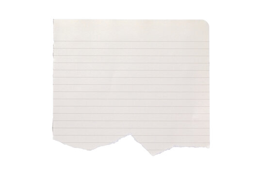 blank lined paper notebook paper with torn edges isolated on transparent background,note paper message office business tag sign