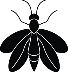 black and white butterfly