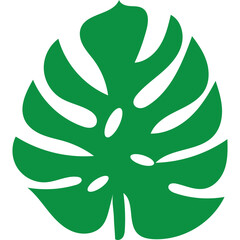 Tropical Monstera Leaf