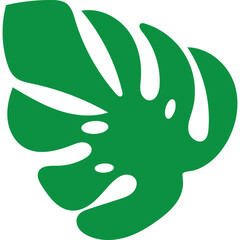 Tropical Monstera Leaf