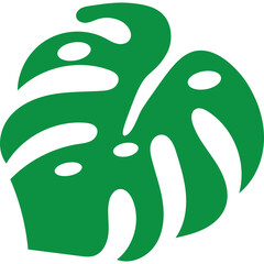 Tropical Monstera Leaf