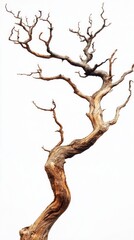 Abstract background with tree branches on a white background. Used in design projects and as a background for websites.