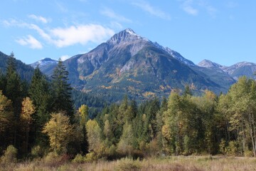 Majestic snow-capped peak rises above autumnal forest, showcasing vibrant yellows and greens in a tranquil valley under a mostly clear sky