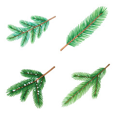 set of Christmas tree branches, New Year vectors, Christmas, holiday