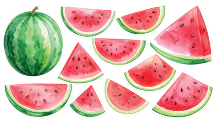 Watermelon Vector Set – Transparent Background
