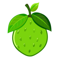 Illustration of green guava fruit with leaves, healthy eating, tropical fruit, fresh guava, art 90char