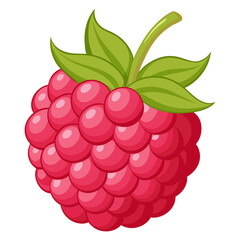 Illustration of a fresh raspberry fruit with leaves, a healthy food and sweet treat design element