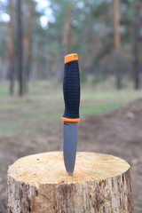 knife stuck in wooden stump