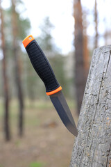 knife stuck in wood