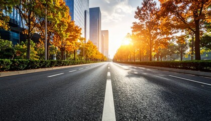 Autumn Cityscape Sunlit Asphalt Road with Golden Trees, City Background, Urban Road Autumn foliage, City street
