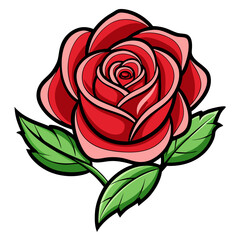 red rose vector illustration