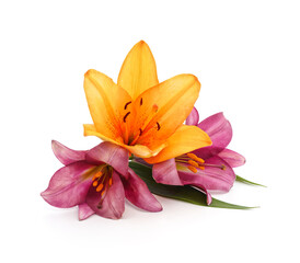 Obraz premium Bouquet of beauty lilies.