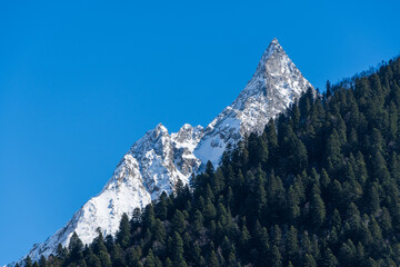 Majestic snow-capped mountain peaks towers above dense forest, contrasting against clear blue sky,...