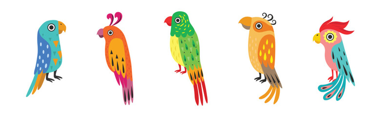 Funny Tropical Parrot with Bright Feathered Wings Vector Set