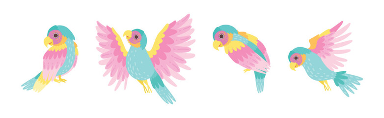 Funny Tropical Parrot with Bright Feathered Wings Vector Set