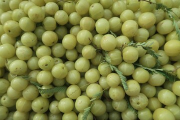 Indian gooseberry (amla) is crucial in Ayurveda and traditional folk medicine in Southeast Asia. The fruit is known for its sour, bitter, and astringent taste. It is a source of Vitamin C