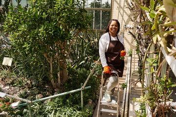 Obraz premium Gardening bliss in a vibrant greenhouse with an inspiring woman tending to her plants
