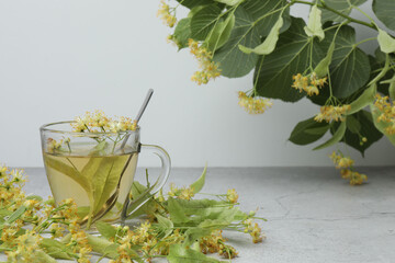 cup of herbal tea with linden flowers on wooden background